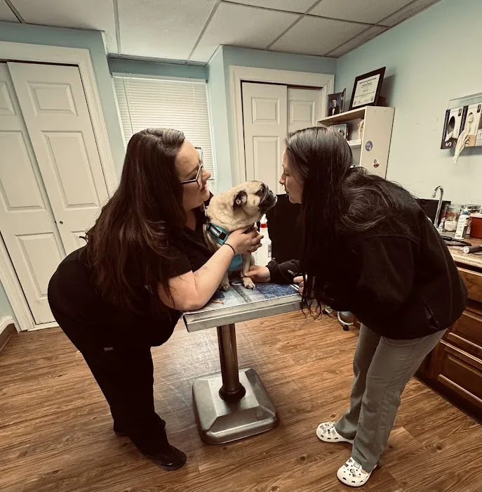 Aberdeen Veterinary Clinic 7