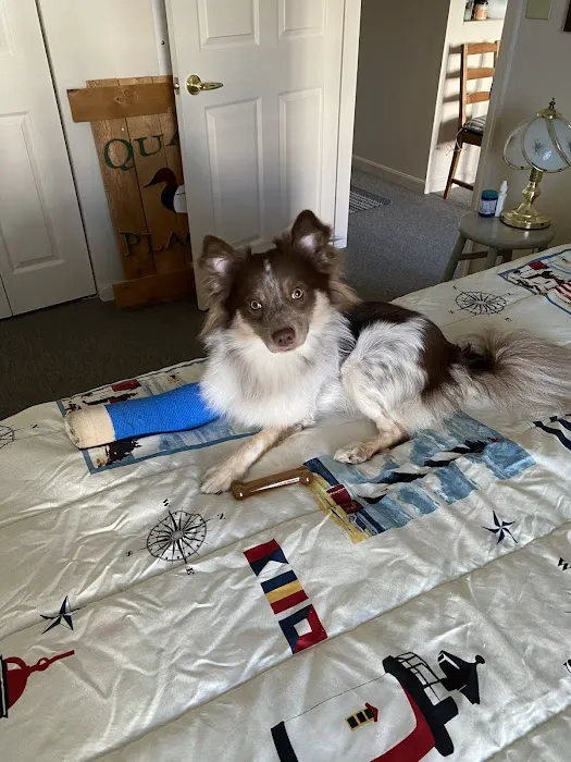 Aberdeen Veterinary Clinic 4