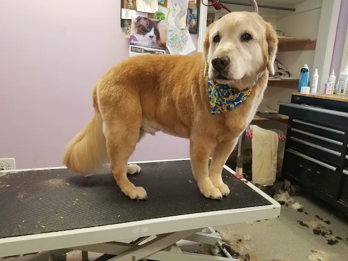Middletown Veterinary Hospital 3