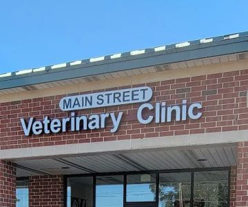 Main Street Veterinary Clinic, Dr. John Heller