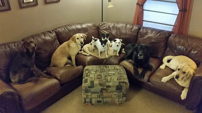River Hills Veterinary Hospital 2