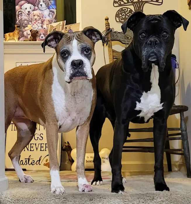 River Hills Veterinary Hospital 1