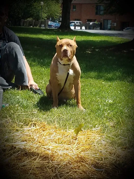 River Hills Veterinary Hospital 9