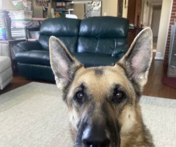 Churchville Veterinary Clinic