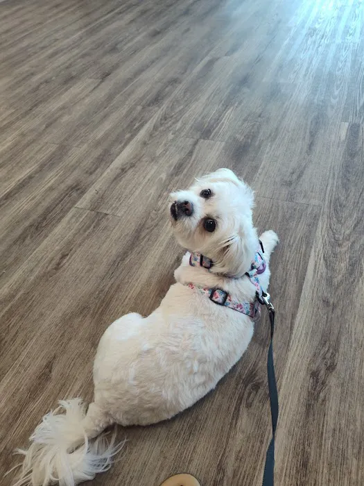 Churchville Veterinary Clinic 2