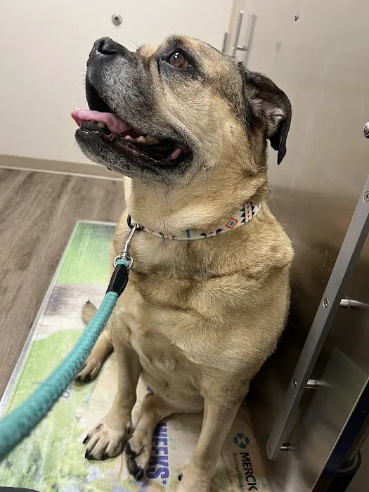 Churchville Veterinary Clinic 4