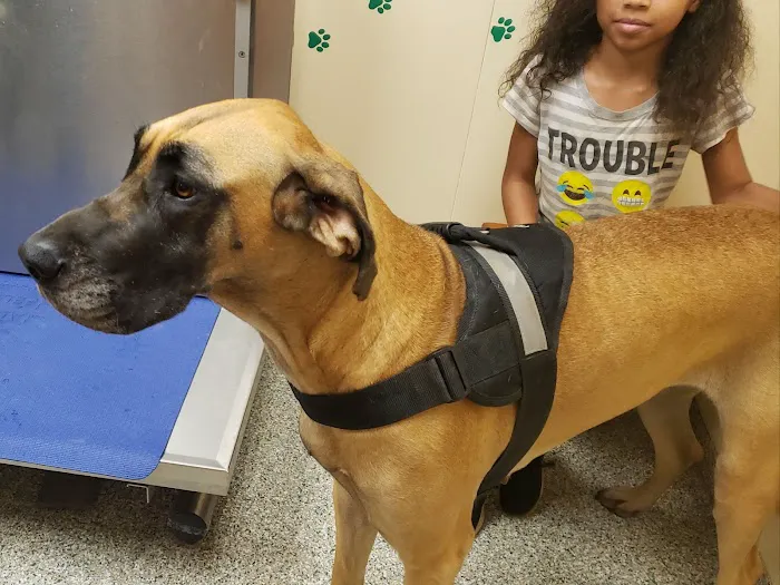 Churchville Veterinary Clinic 5
