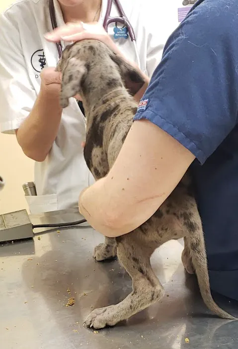 Churchville Veterinary Clinic 8