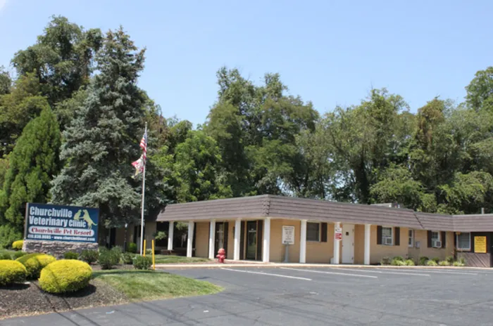 Churchville Veterinary Clinic 9