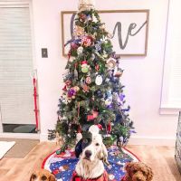 Creswell Veterinary Clinic ico