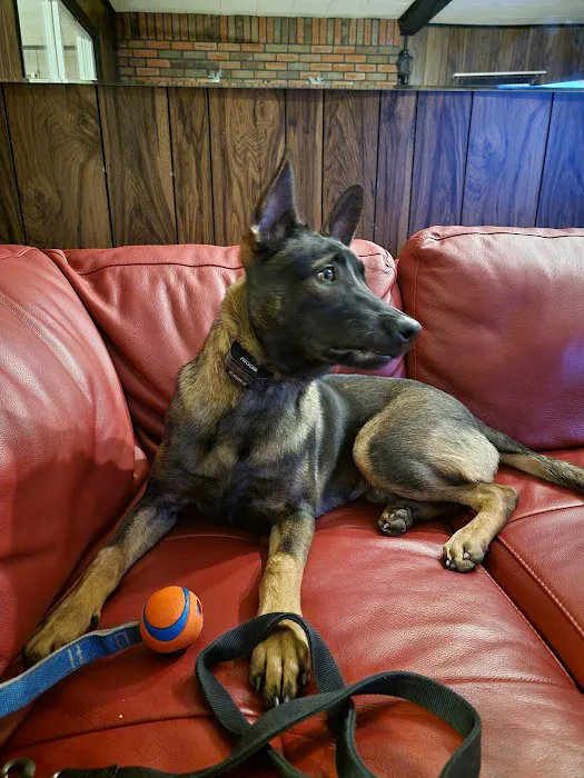 Creswell Veterinary Clinic 8
