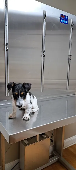 Creswell Veterinary Clinic 5