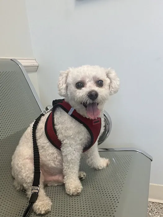 Bay Animal Hospital 2