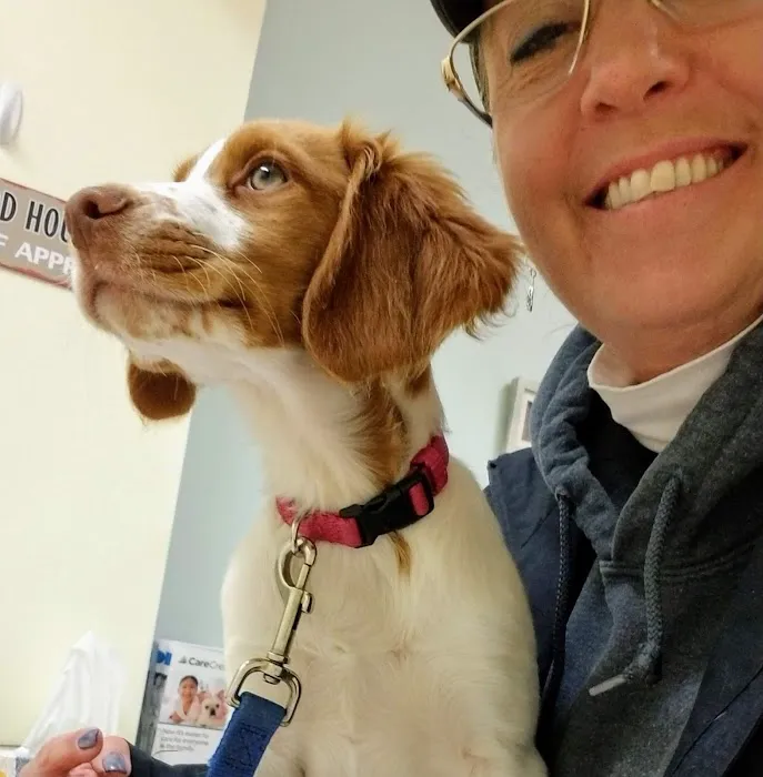 Bay Animal Hospital 3