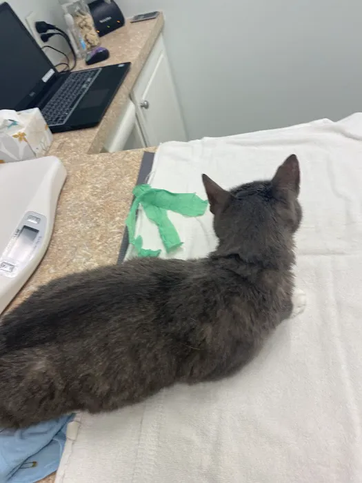 Bay Animal Hospital 5