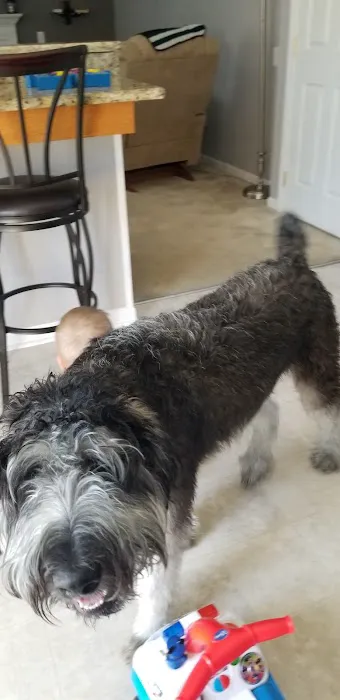 Bay Animal Hospital 7