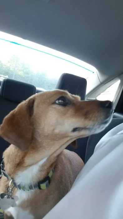 Bay Animal Hospital 8