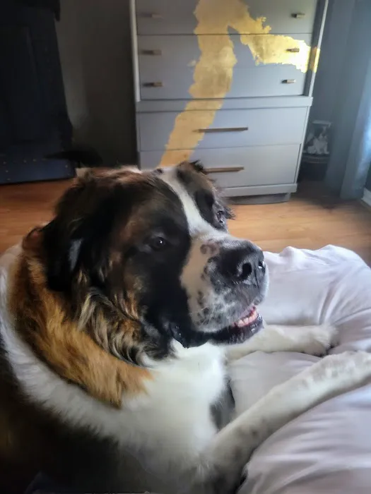 Leesport Animal Hospital 5