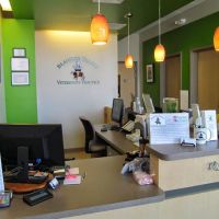 Blandon Family Veterinary Practice ico