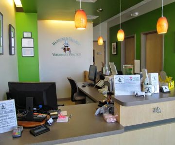 Blandon Family Veterinary Practice