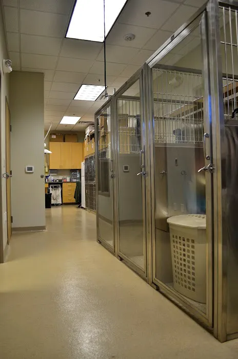 Blandon Family Veterinary Practice 8