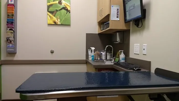 Blandon Family Veterinary Practice 6
