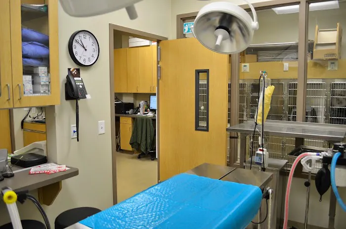 Blandon Family Veterinary Practice 10