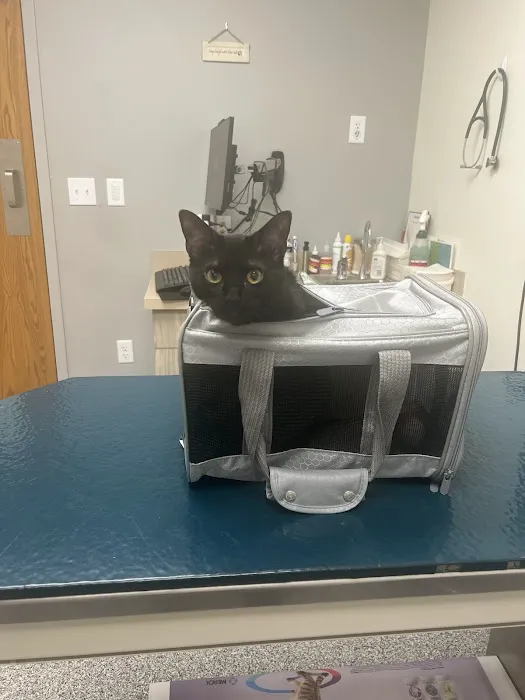 Oley Valley Animal Clinic 4
