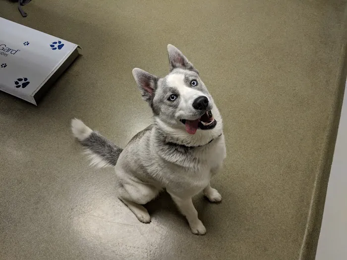 Oley Valley Animal Clinic 7