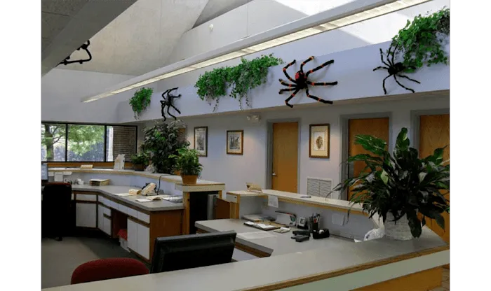 Oley Valley Animal Clinic 9