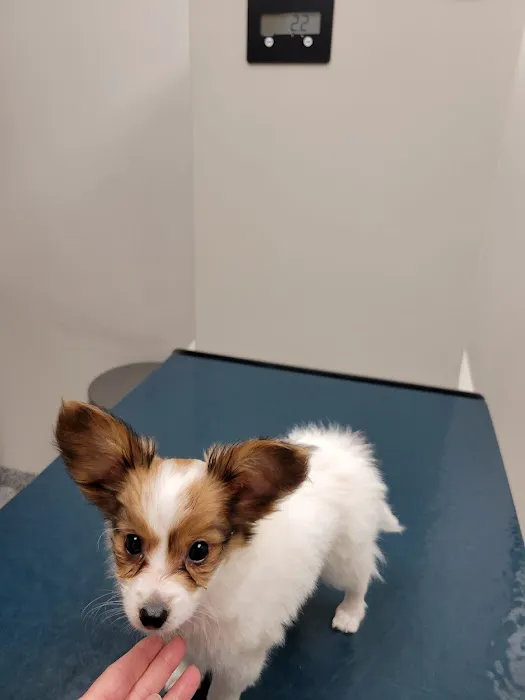 Oley Valley Animal Clinic 10