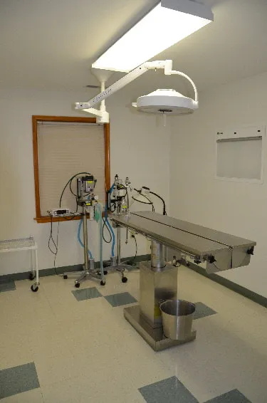South Paw Animal Hospital 4