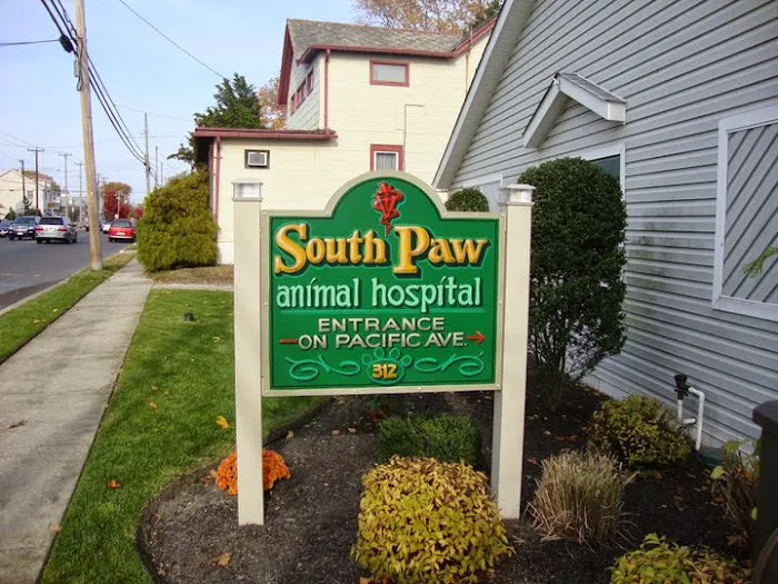 South Paw Animal Hospital 6