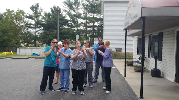 South Paw Animal Hospital 10