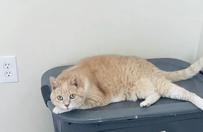Parkway Veterinary Hospital 7