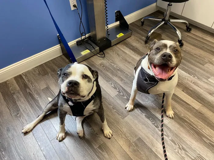Berkeley Veterinary Center 5