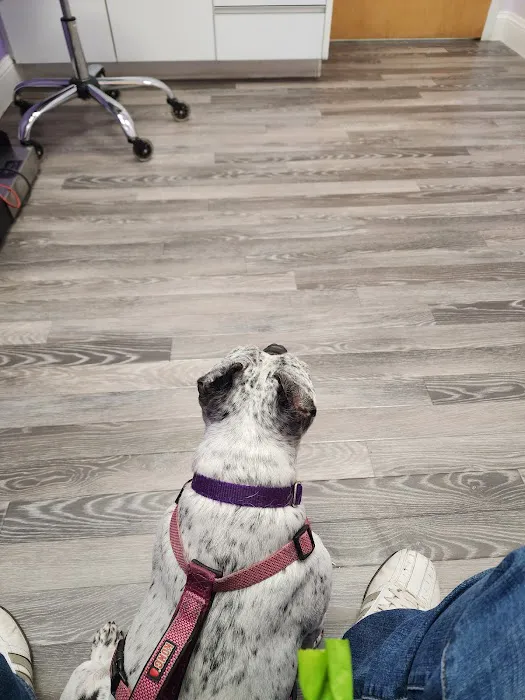 Berkeley Veterinary Center 7