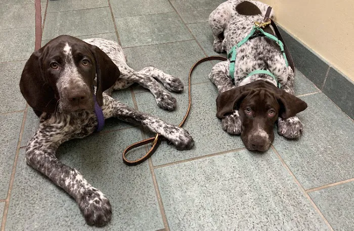 Lanoka Oaks Veterinary Center 6