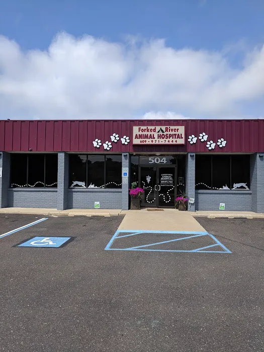 Forked River Animal Hospital 3