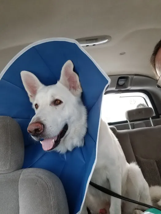 Forked River Animal Hospital 10