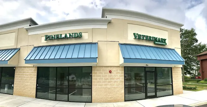 Pinelands Veterinary Hospital 1