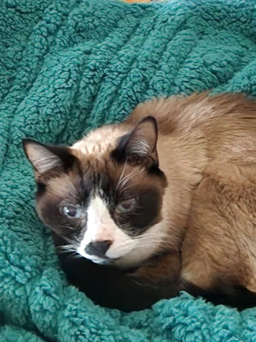 Pinelands Veterinary Hospital 4