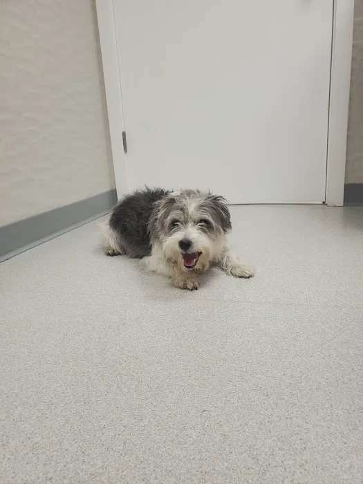 Bayberry Veterinary Hospital 1
