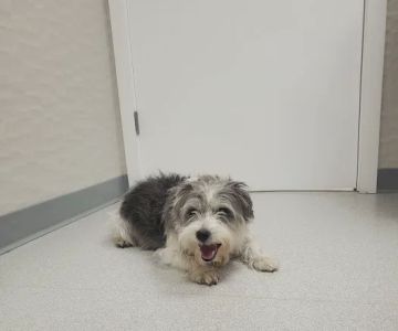 Bayberry Veterinary Hospital
