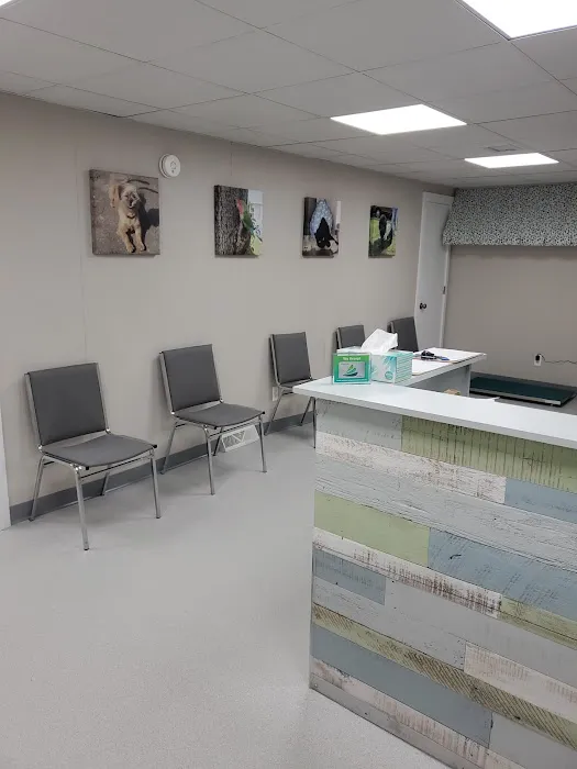 Bayberry Veterinary Hospital 2