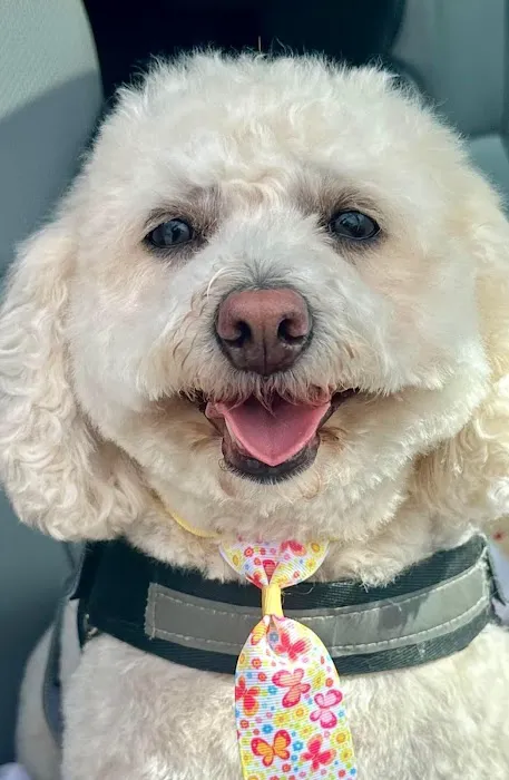 Bayberry Veterinary Hospital 5