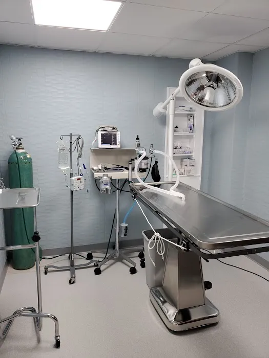 Bayberry Veterinary Hospital 6