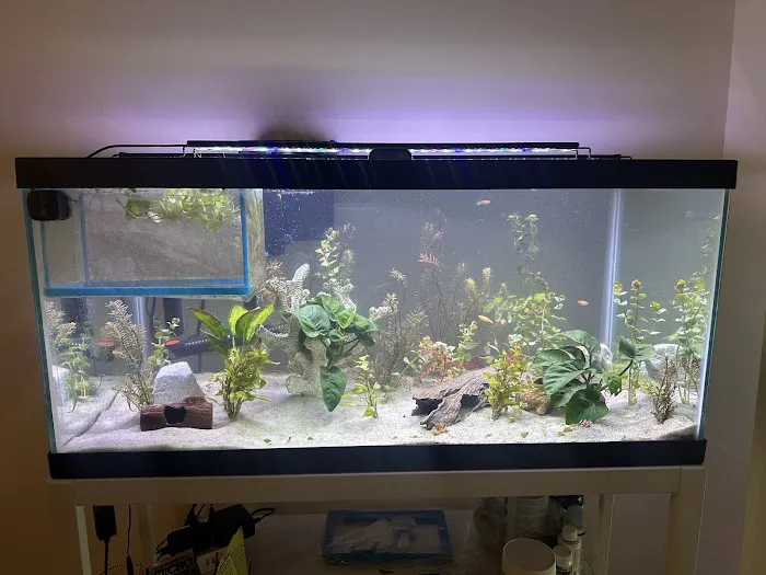 AJ Tank Cleaning, LLC 12