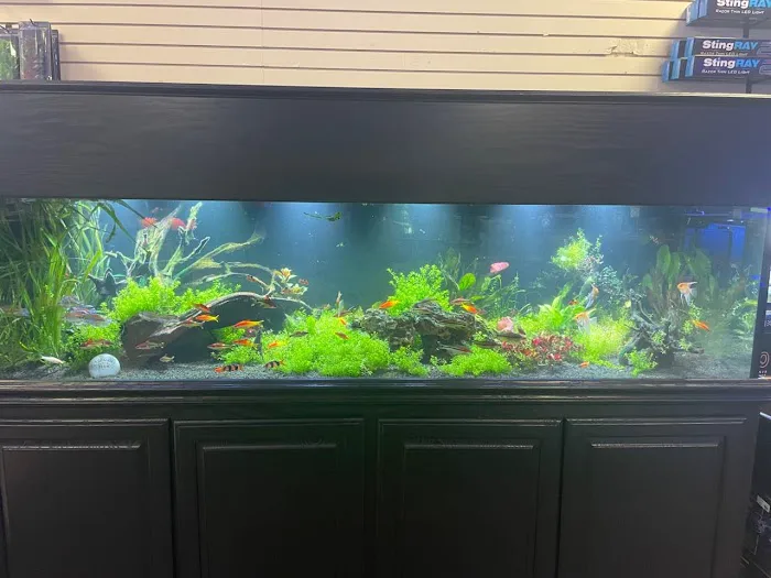 AJ Tank Cleaning, LLC 12