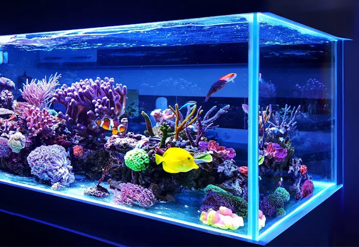 AJ Tank Cleaning, LLC 12